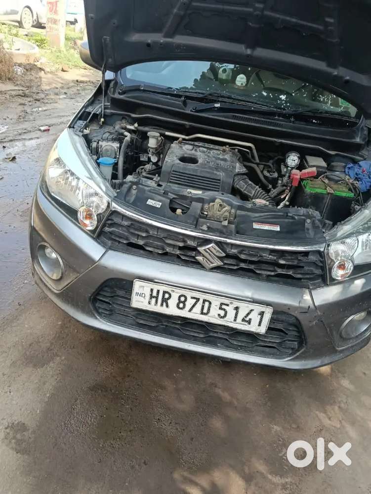 Maruti Suzuki Celerio Green (o) 2019 Cng & Hybrids Well Maintained