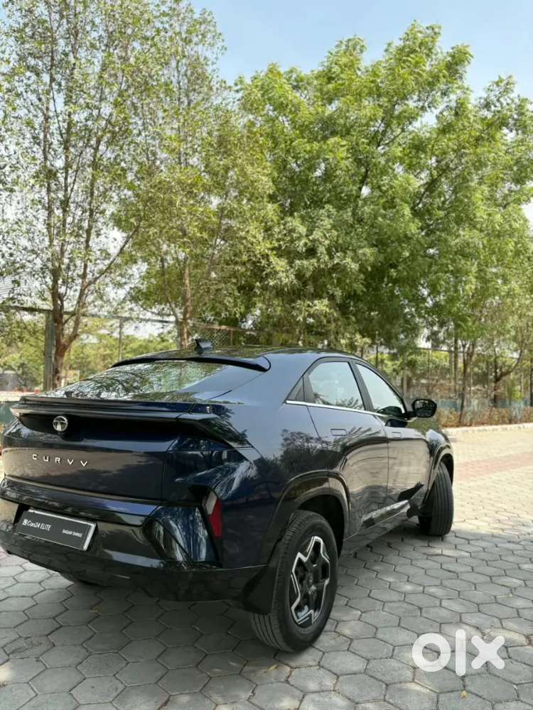 Tata Curvv Petrol Manual 2025 Km Driven