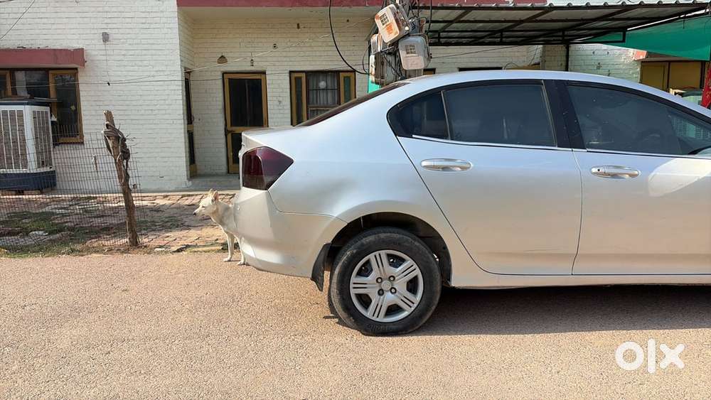 Honda City Car Petrol With Cng