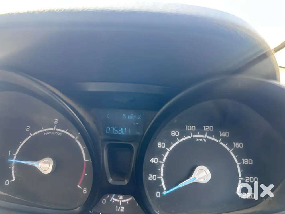 Ecosports In Well Defined Condition