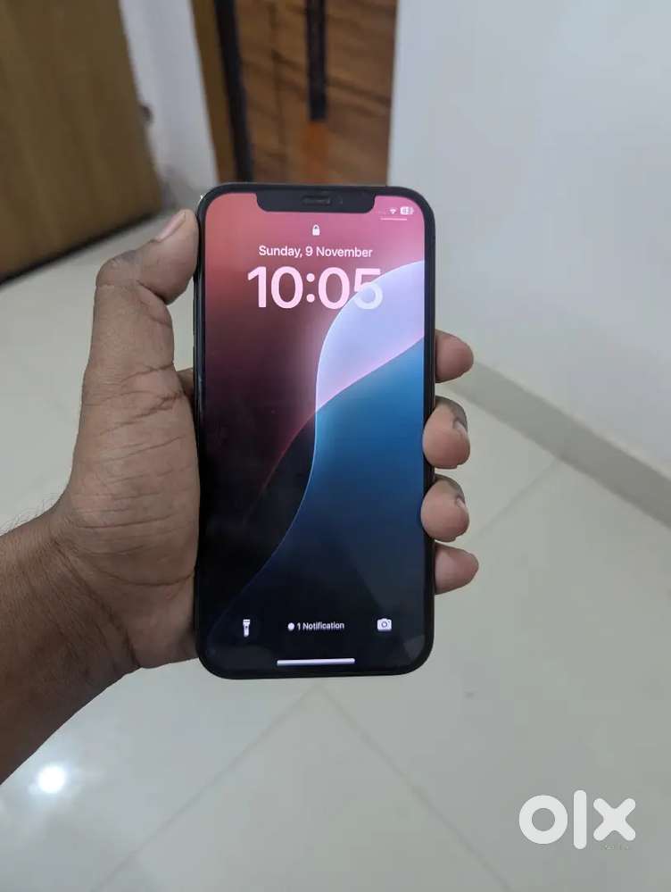 iPhone12pro 256GB 黒 Apple iPhone 12 Pro (256 GB Storage) Online at Best Price On