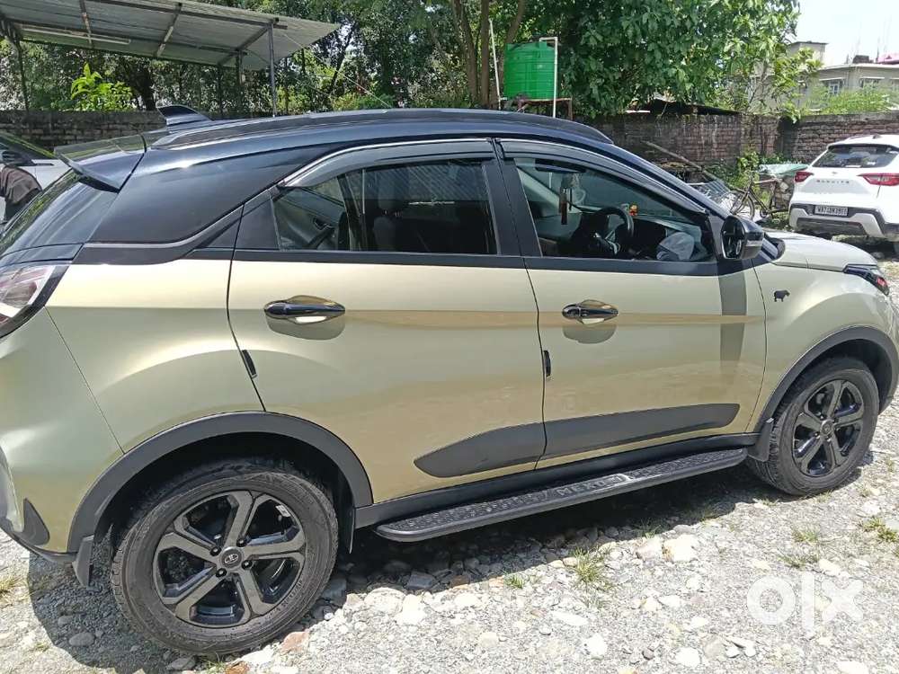 Limited Edition Nexon Kaziranga