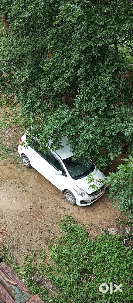Good Condition And New Tyre And Seatcover