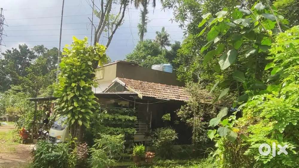 അന്നമനട വെന്തലയിൽ 10 cent സ്ഥലവും 1000 sqft വീടും വിൽപനക്ക്