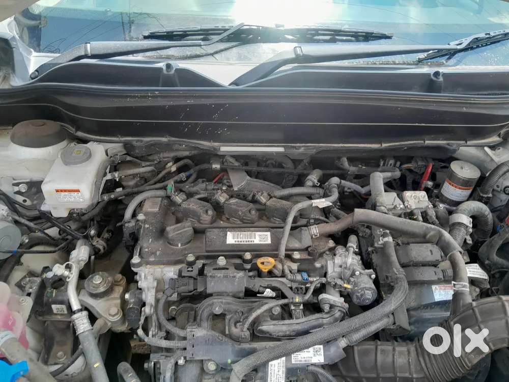 Maruti Suzuki Vitara 2024