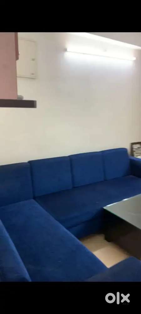 Haldi ghati gate pratap nagar in side dmart For Sale: Houses