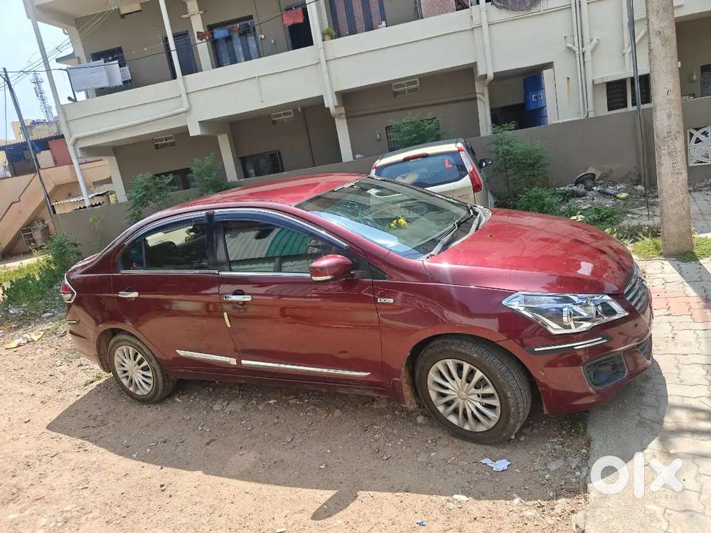 Maruti Suzuki Ciaz Diesel Manual 2016