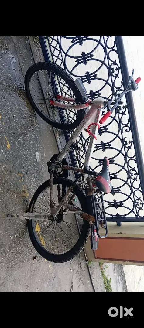 New 20 Inch cycle