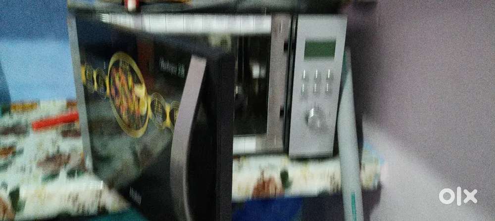 Electric oven