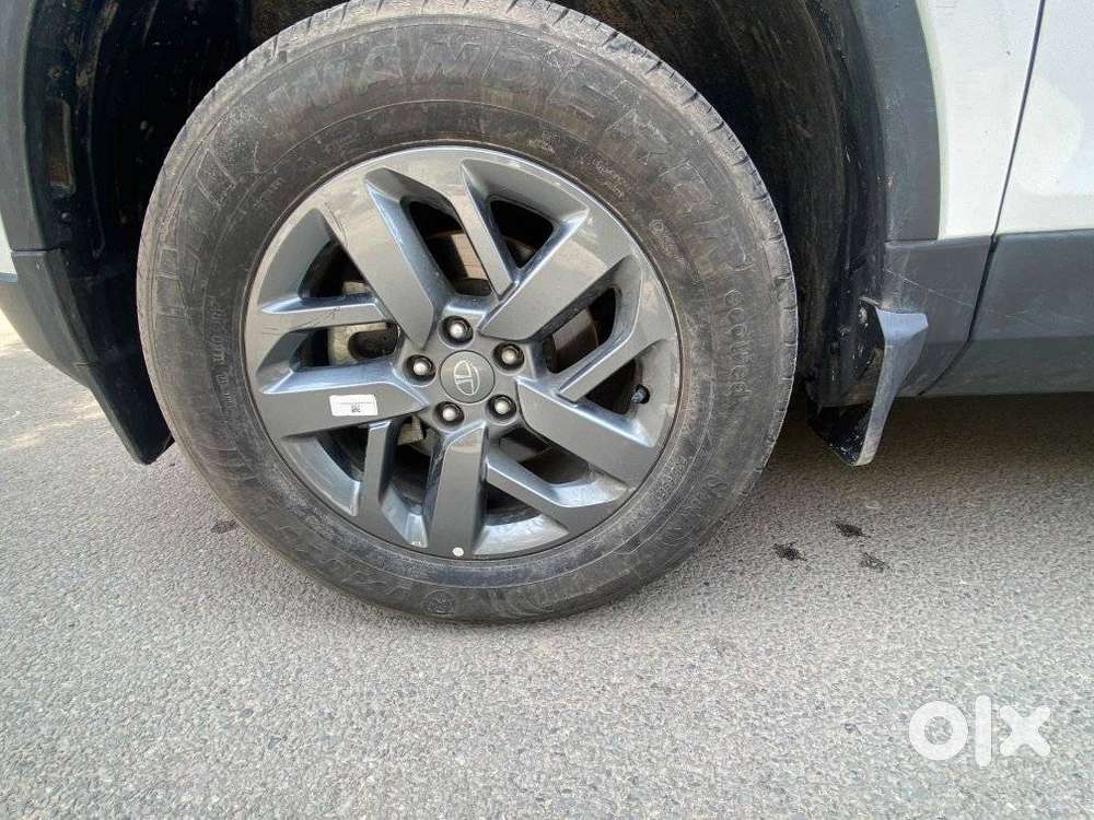 Tata Safari Pure Plus At, 2025, Diesel