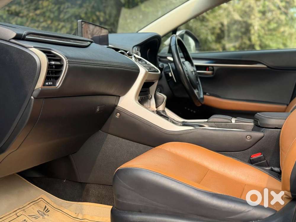 Lexus Nx Lexus-nx-300h-luxury, 2019, Petrol