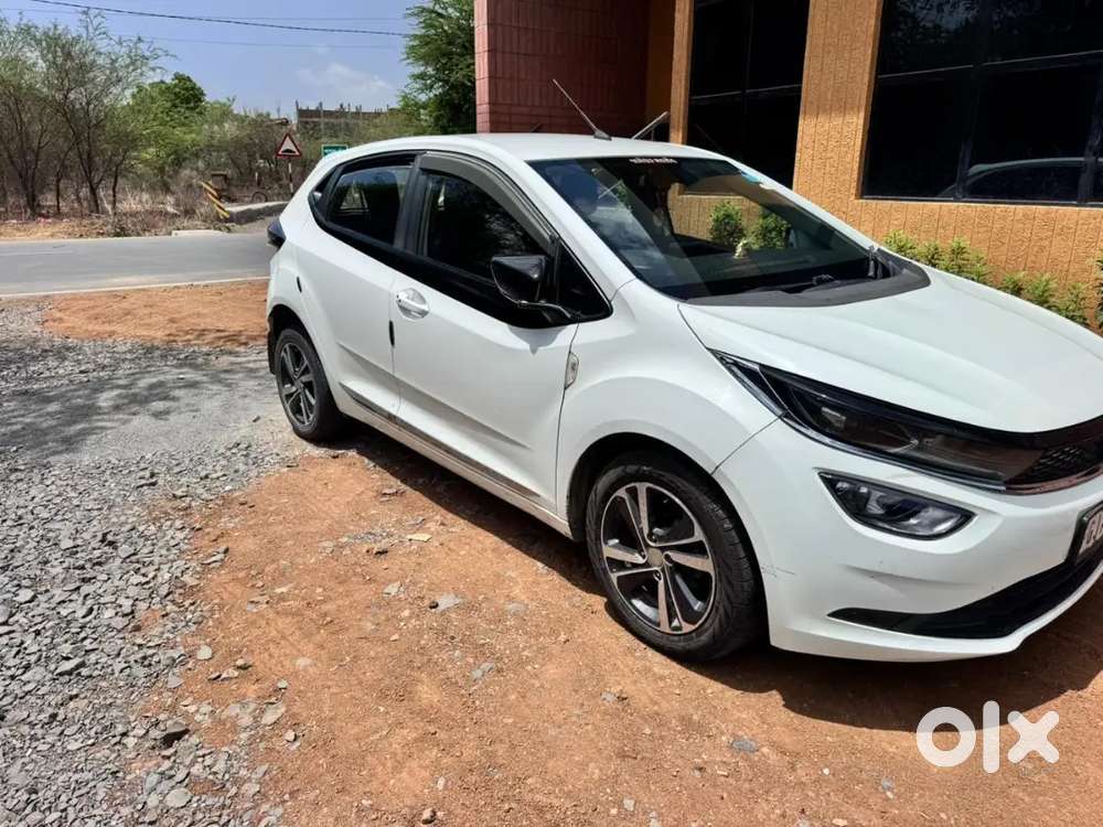 In Mint Condition Tata Altorz