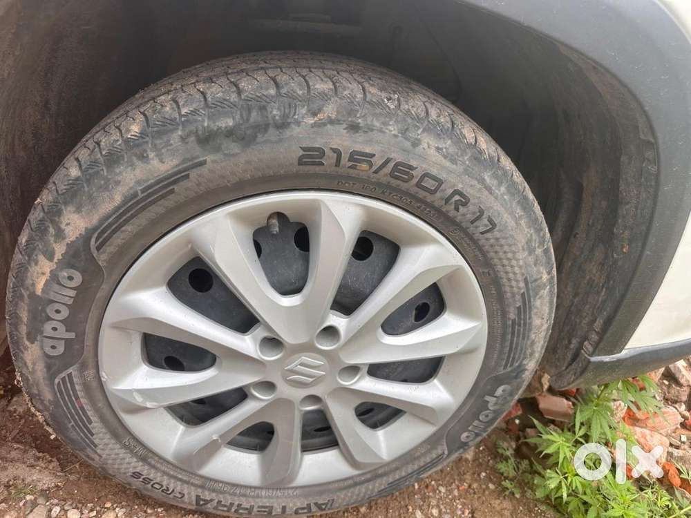 Rc Registered In 2026