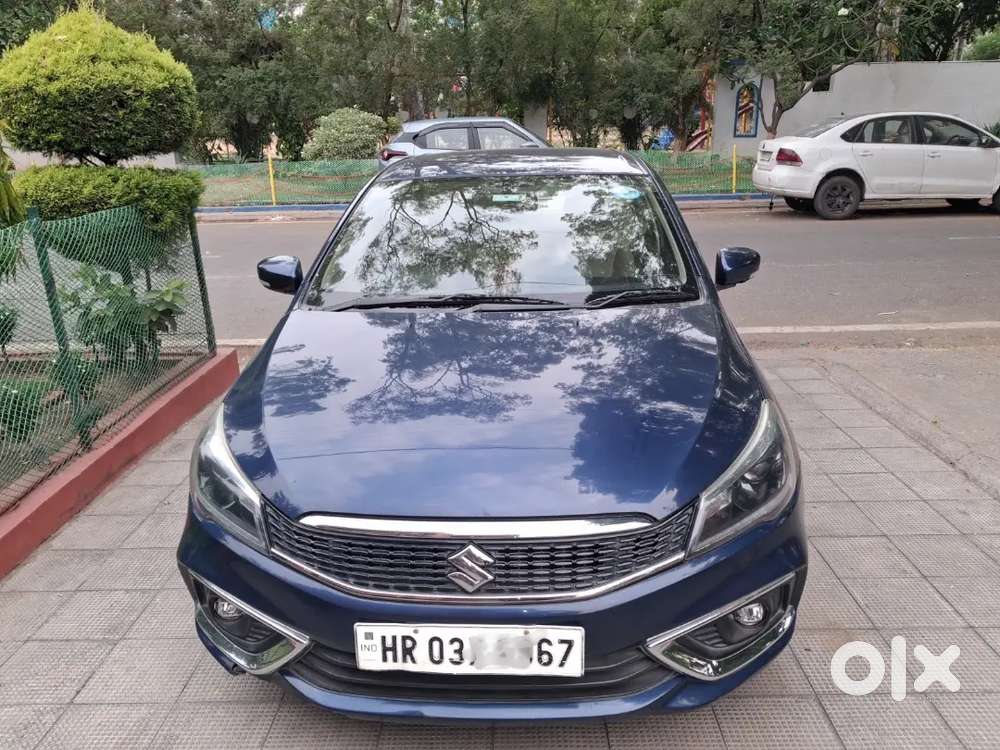 Well Maintained Single Owner Ciaz Alpha Maruti Suzuki