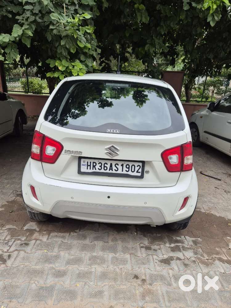 Maruti Suzuki Ignis Sigma 2024 Car
