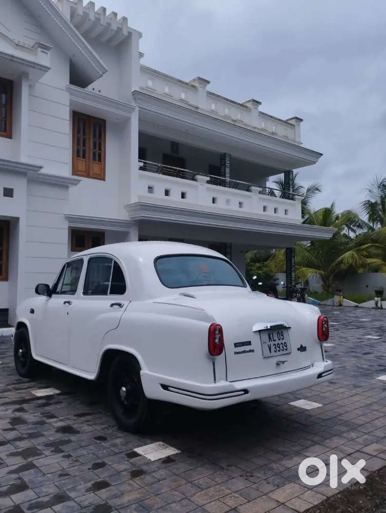 Ambassador For Sale