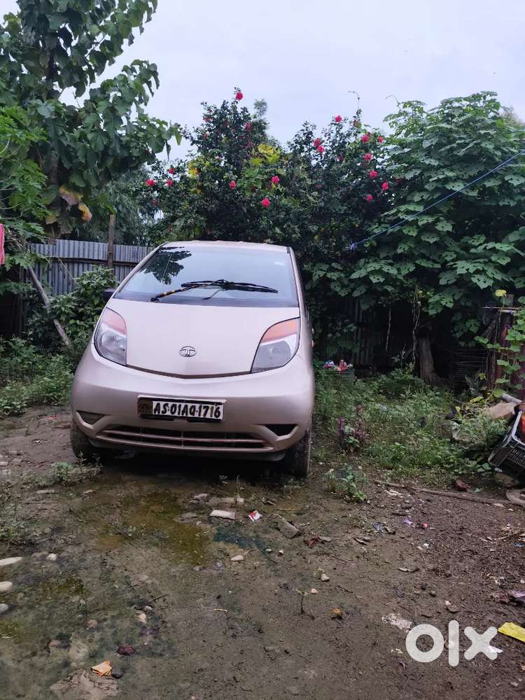 Tata Nano 2010