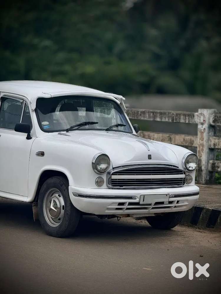 Ambassador For Sale
