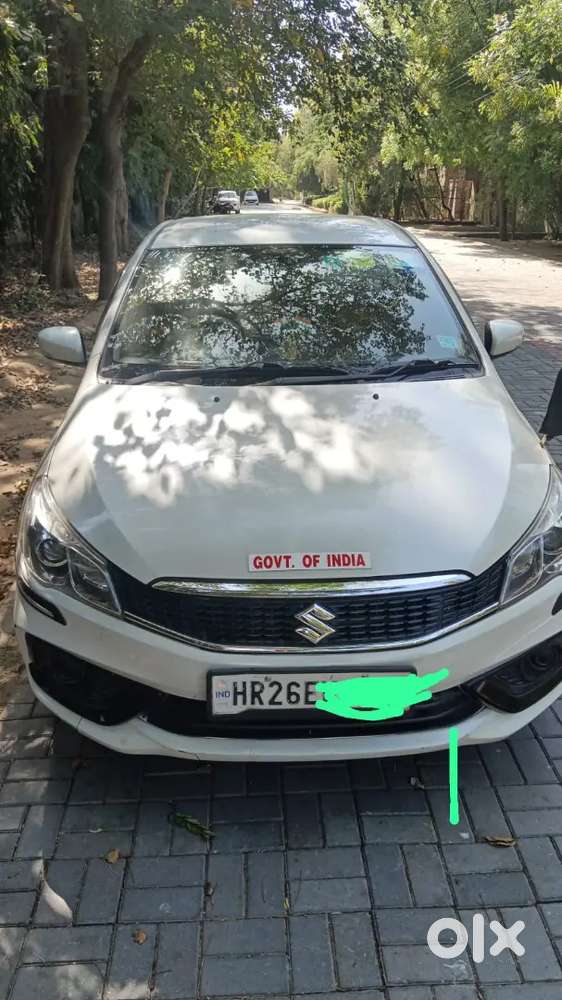 Maruti Suzuki Ciaz 202