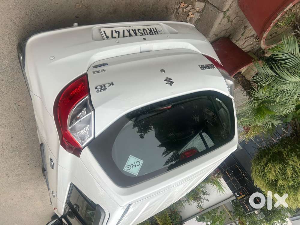 Alto K10 Auto Cng On Paper