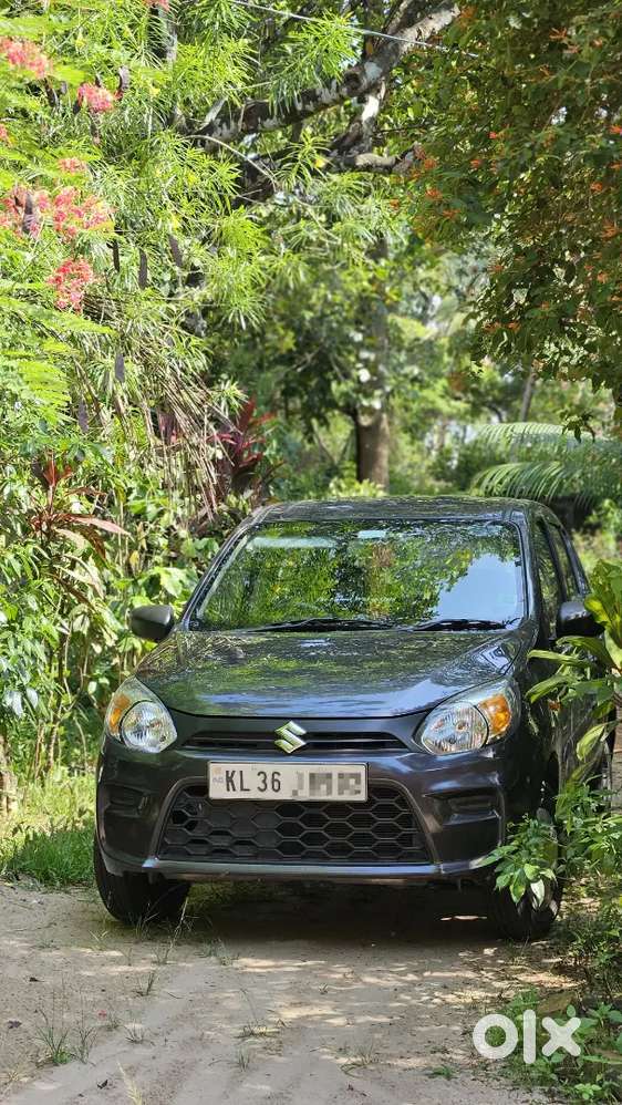 Maruti Suzuki Alto 800 2022 Petrol 17000 Km Driven