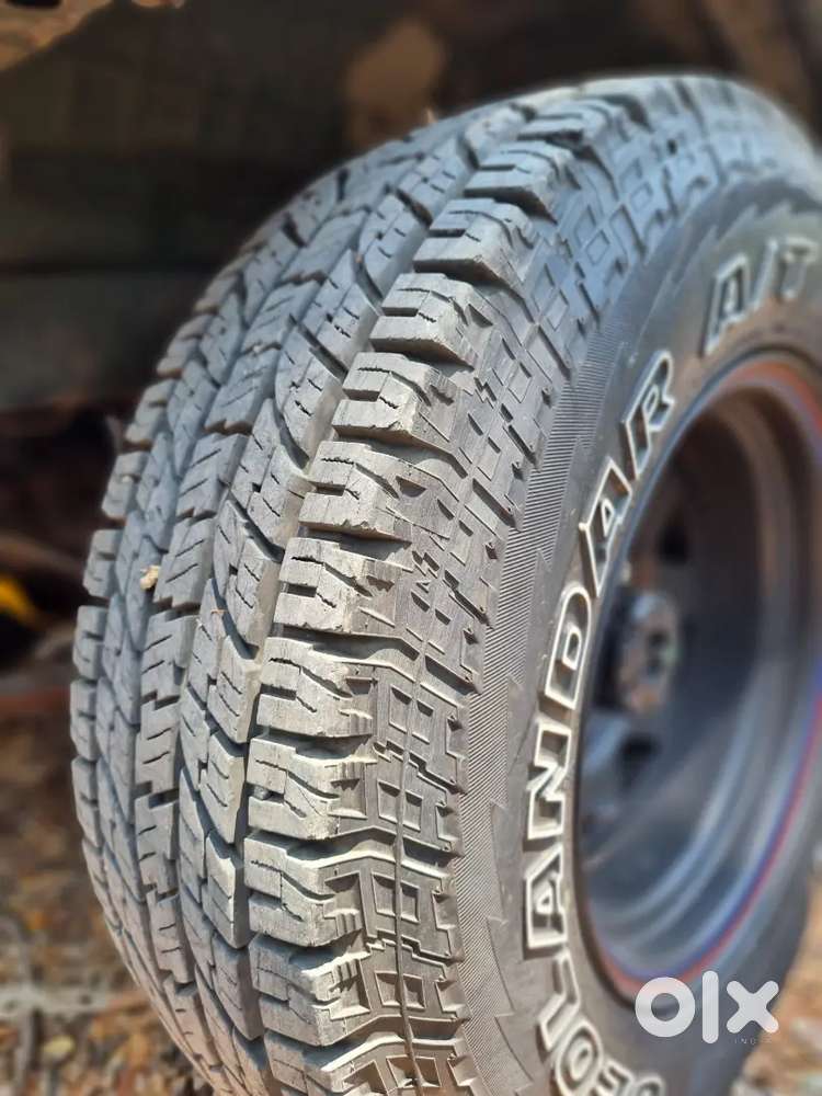 2021 Gypsy King Valid Till 2036