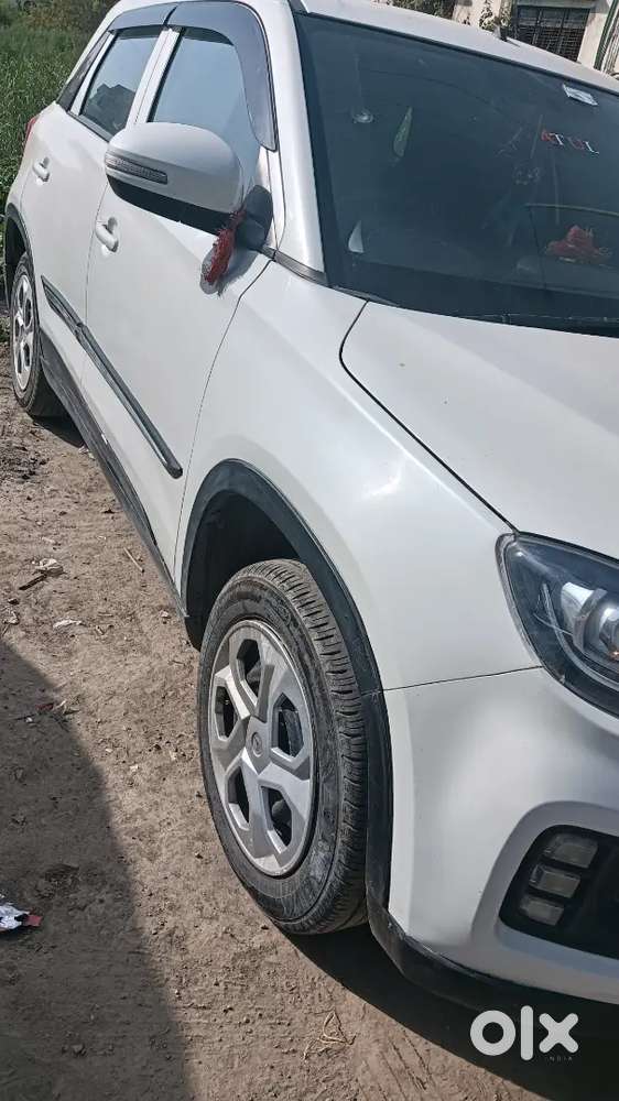 Brizza 2022 Cng