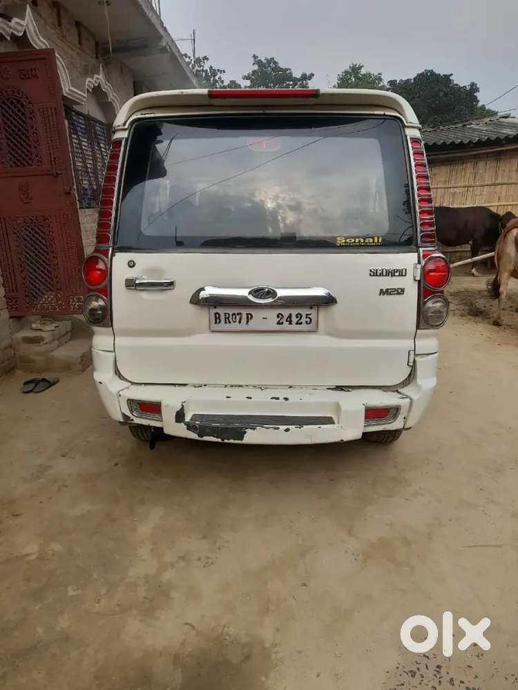 Good Condition 2030 Tak Vild Hai