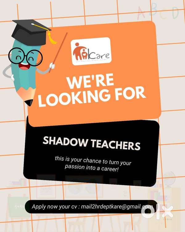 Shadow Teachers