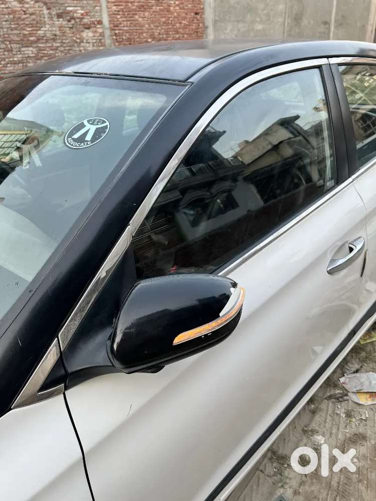 2015 Sport (o)