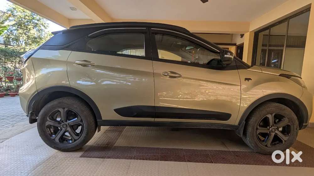 Nexon Xz+, Kaziranga Edition (top Model)