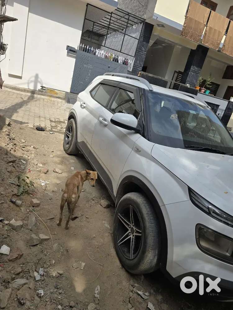 Hyundai Venue S Petrol 2019