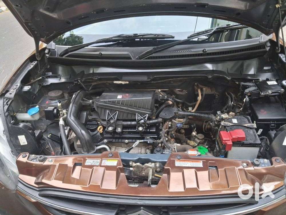 Maruti Suzuki Celerio 2021-1.0 Zxi Plus Mt, 2022, Petrol