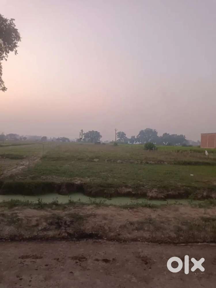 8000000 ka 100 gaj - Lands & Plots - 1824587937