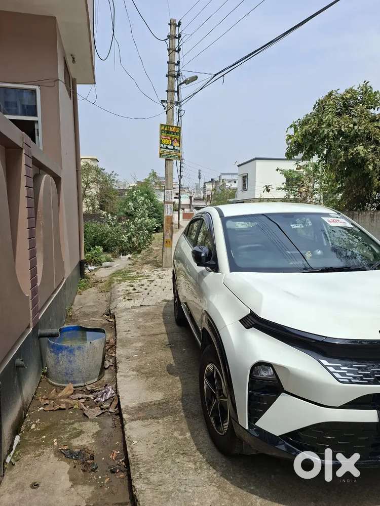 Tata Curv Pure Plus Model