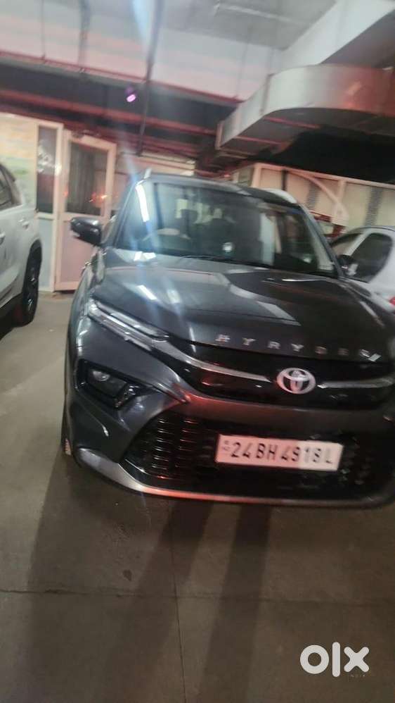 Toyota Urban Cruiser 2024