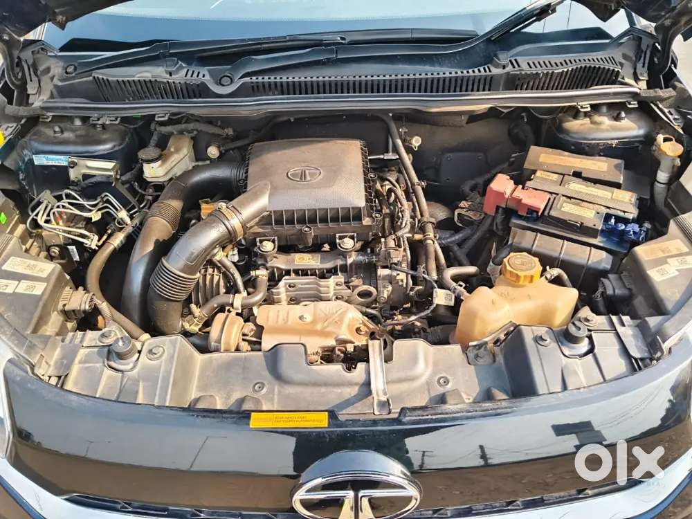 Tata Nexon 2023 Petrol 17500 Km Driven