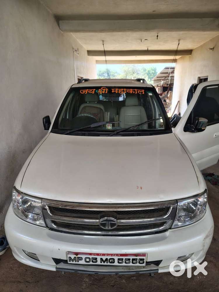 Vip Nomber. Panta 5 ( Mp 05 Mg 5555)