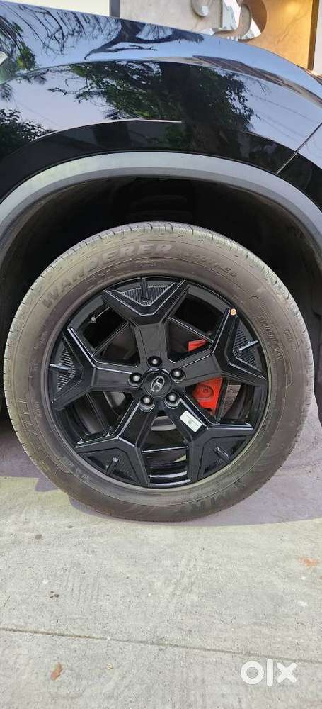 Tata Safari Accomplished Plus Dark Edition At, 2023, Diesel