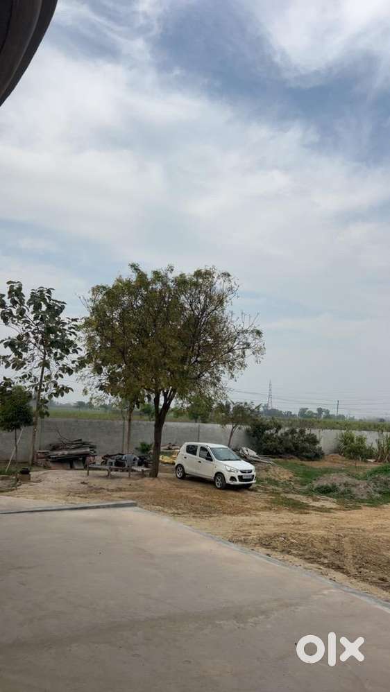 Maruti Suzuki Alto K10 2016 Petrol 55000 Km Driven