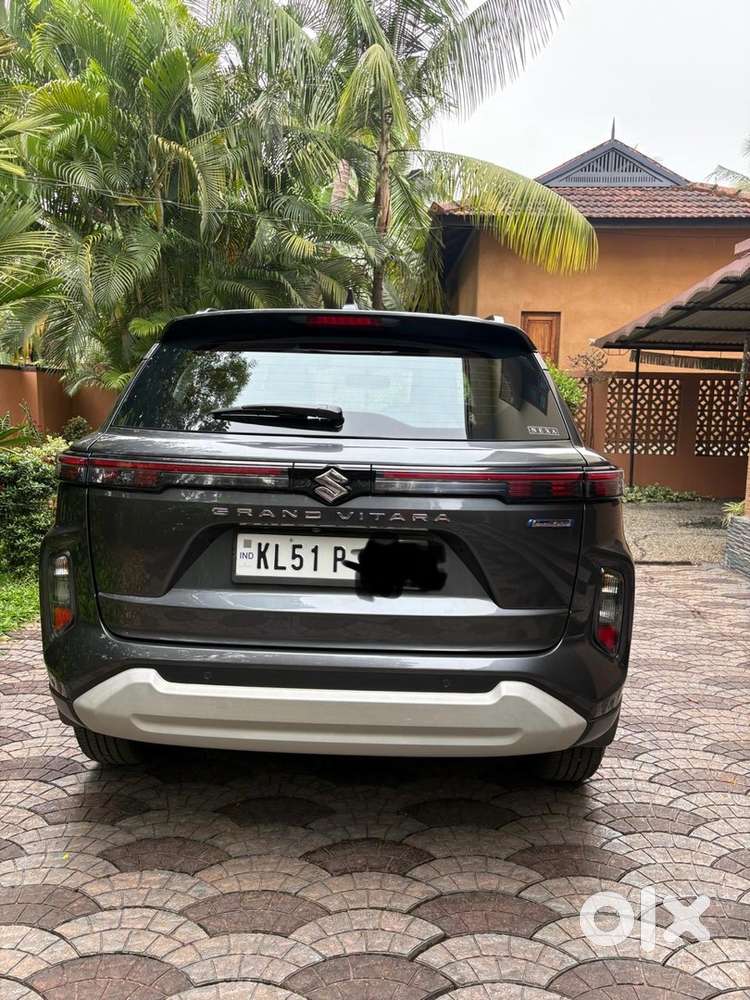 2023 June Grand Vitara Alpha Smart Hybrid(full Option)