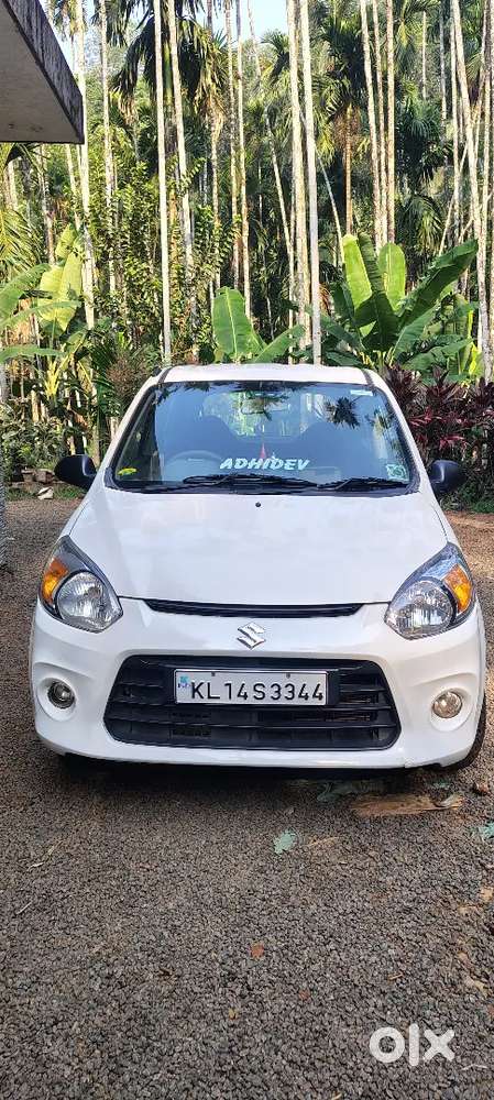 Alto 800 White