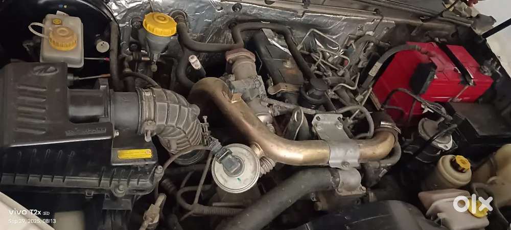 Argent Sell Money Problam