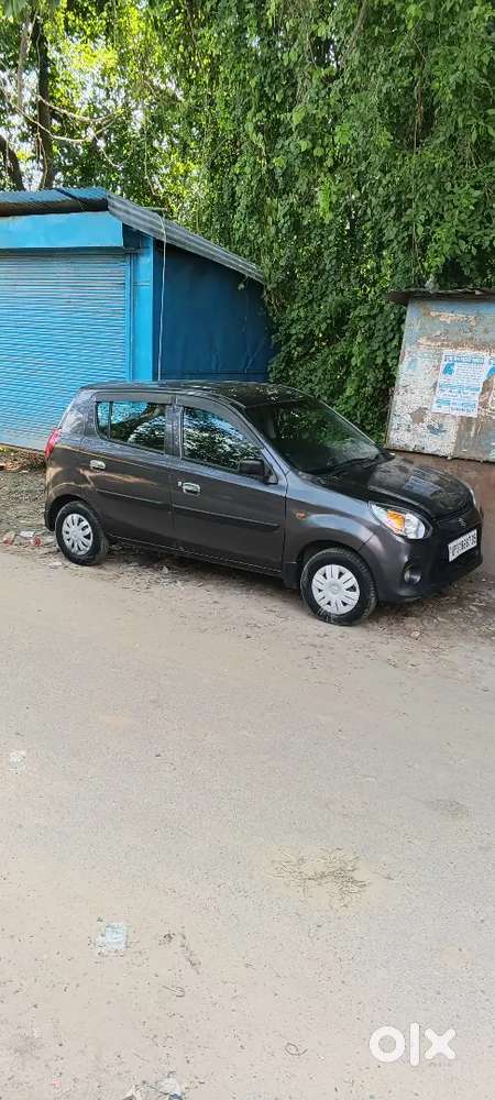 Maruti Suzuki Alto 800 2019 Petrol 79980 Km Driven