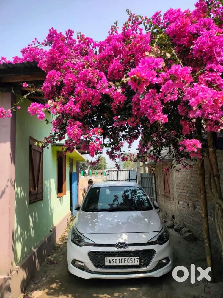 Hyundai I20 2017 Petrol 49000 Km Driven