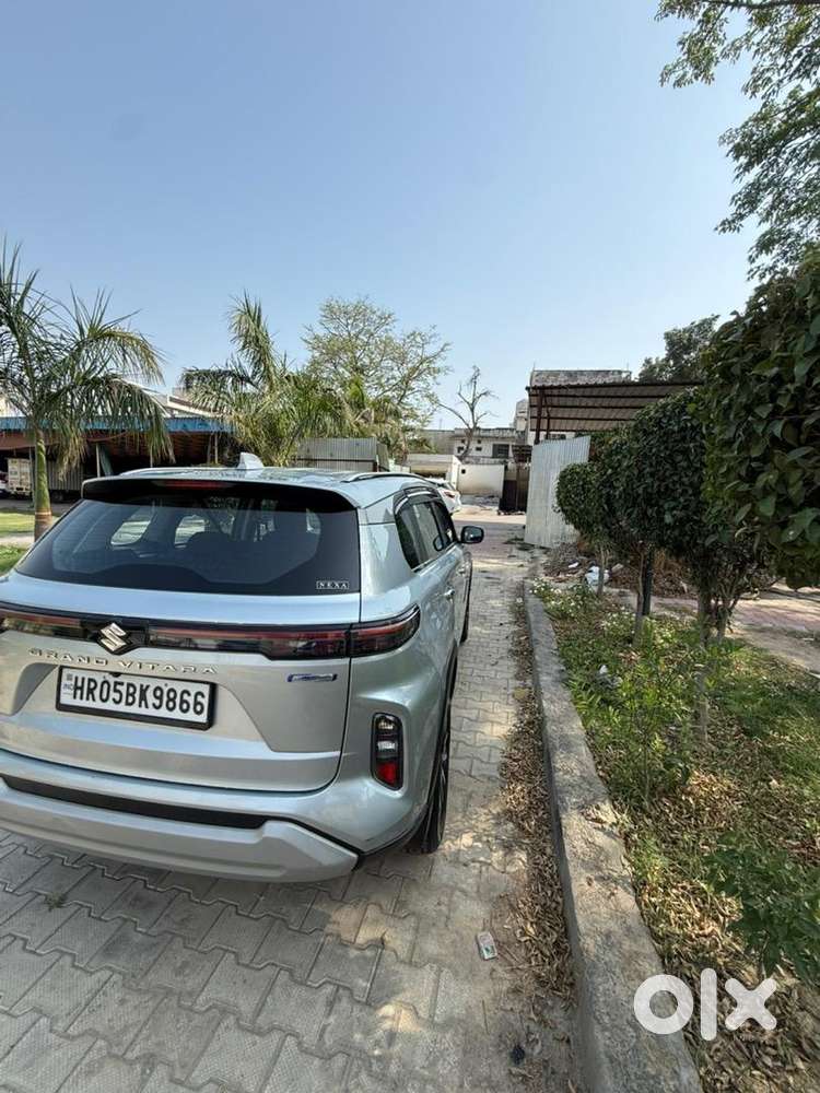 Maruti Suzuki Grand Vitara 2023 Petrol Well Maintained