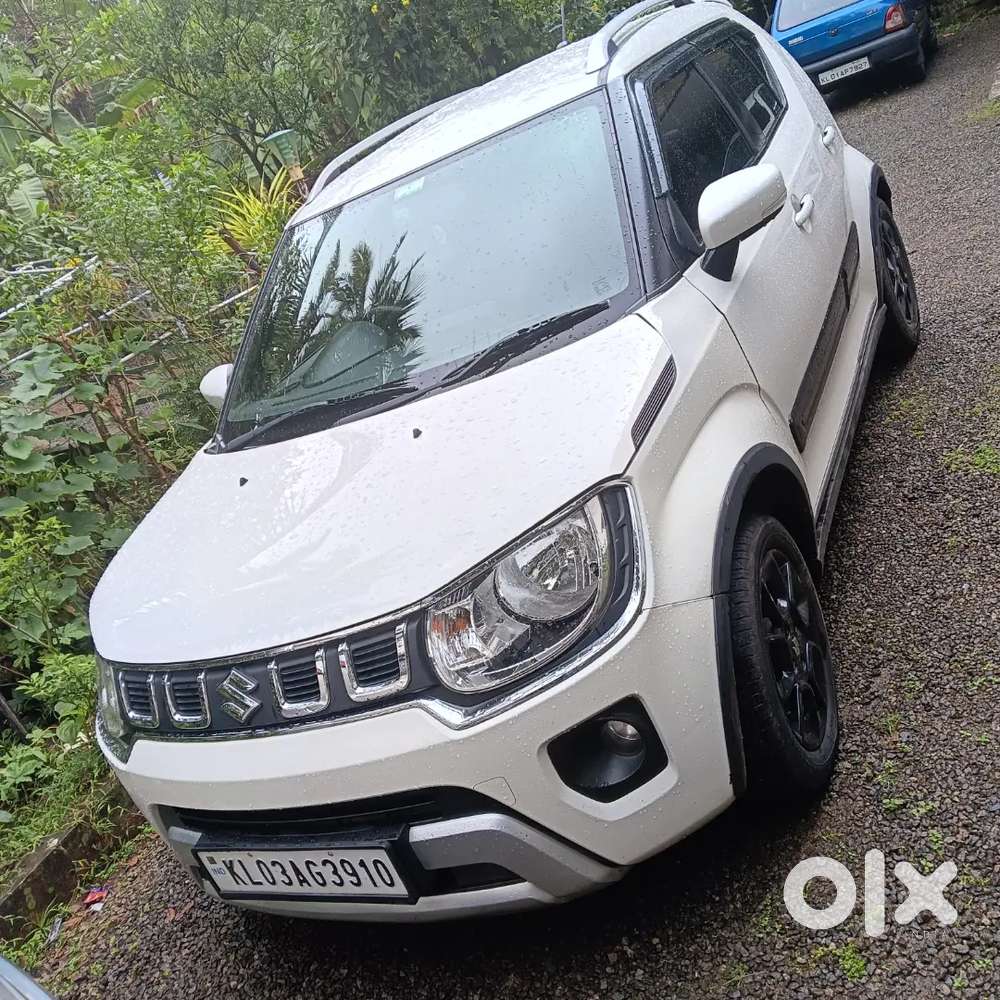 Maruti Suzuki Ignis 2022 Petrol 41000 Km Driven