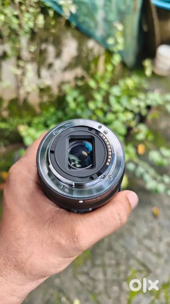 Sony 18-135 OSS