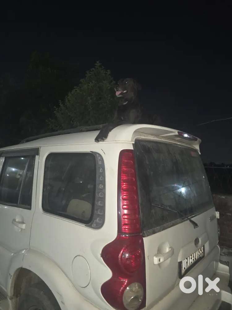 Mahindra Scorpio 2012 Diesel 180000 Km Driven