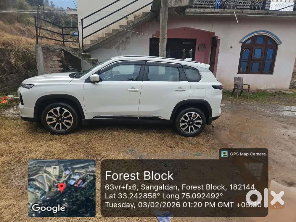Maruti Suzuki Grand Vitara 2025 Petrol 9901 Km Driven